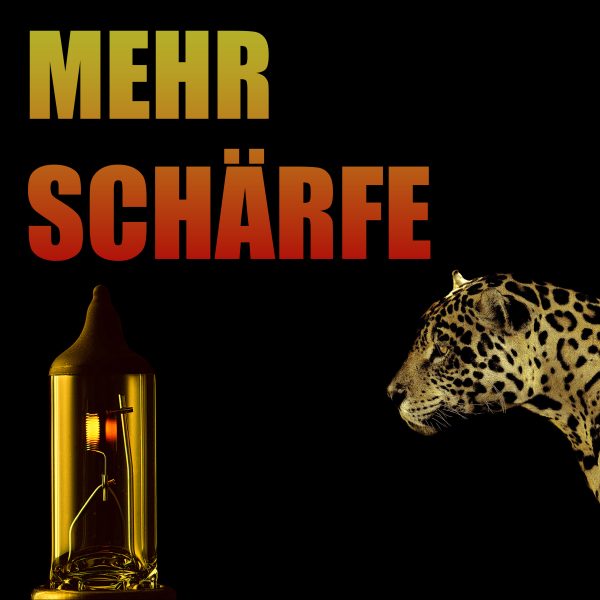 2 x HB4 / 9006 Glühbirnen "Golden Eye" 3000K, Autolampen, KFZ-Lampen (Set: 2 Stück) – Bild 3