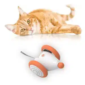 Cheerble Interaktives Katzen-Spielzeug Wicked Mouse, Aprikose